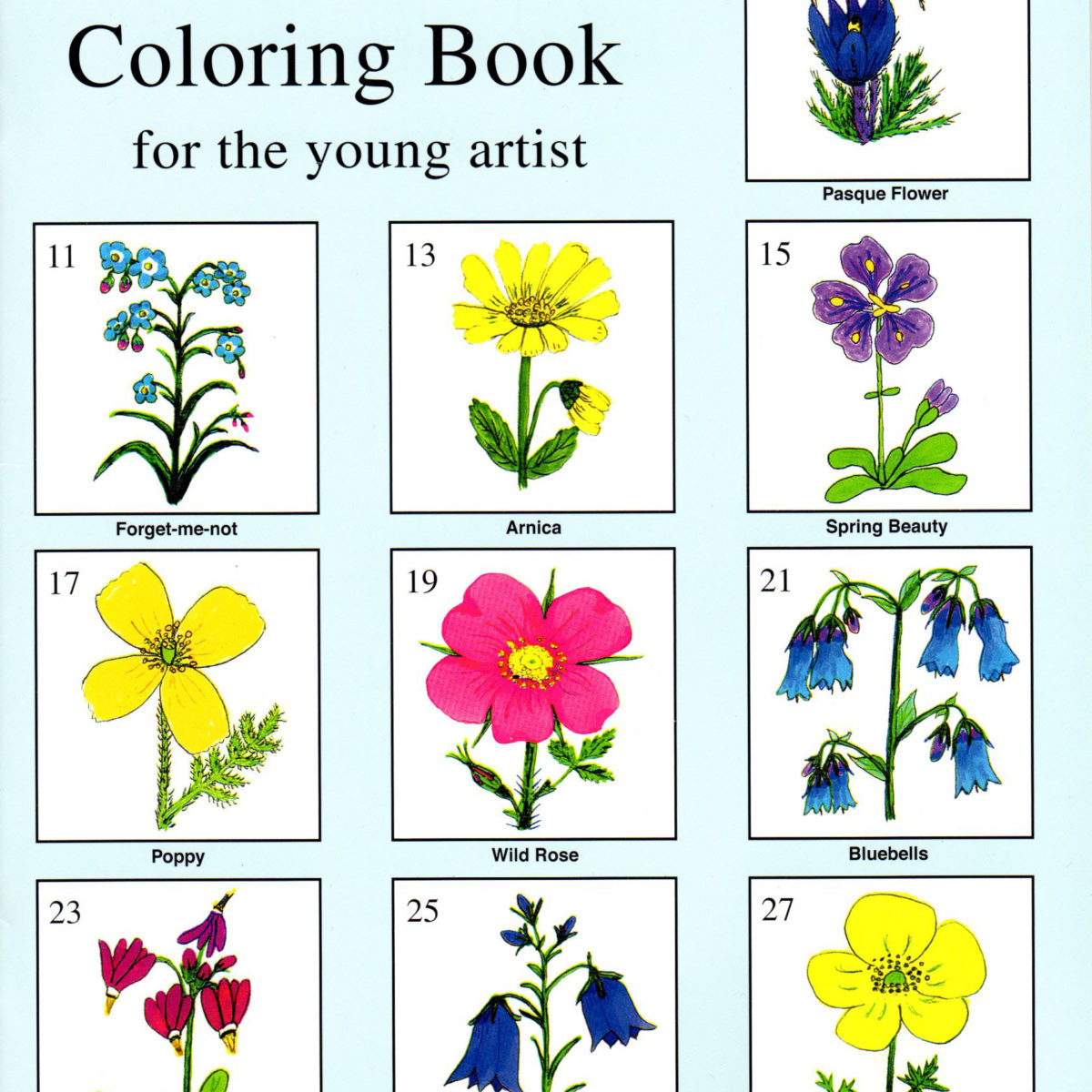 Wildflower Coloring Book - Greatland Graphics
