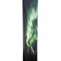 large forest lights aurora scarce