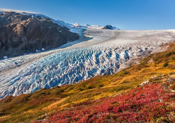 Exit glacier flows out of the Harding Ice Field, Kenai Fjords National Park, Kenai mountains, Kenai Peninsula, southcentral, Alaska.