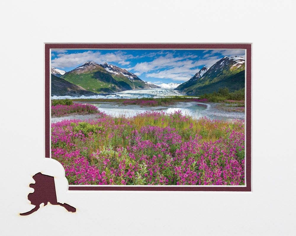 Glacier and Wildflowers