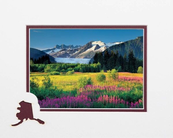 Glacier and Fireweed