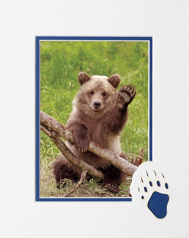 Grizzly Greeting