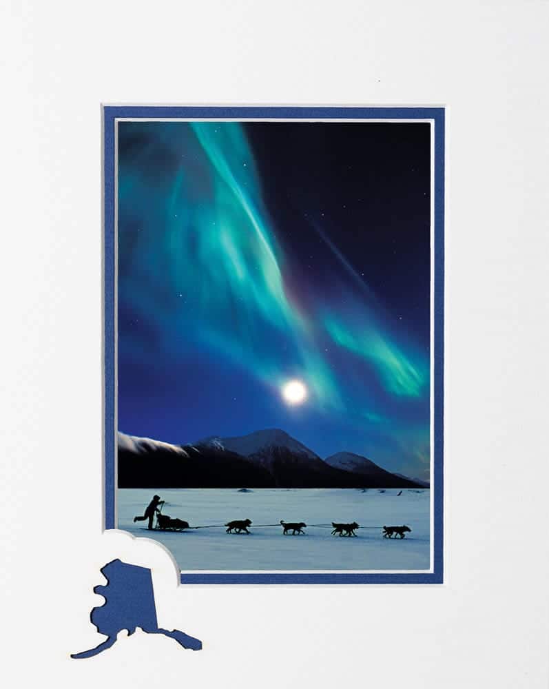 Northern Lights and Musher