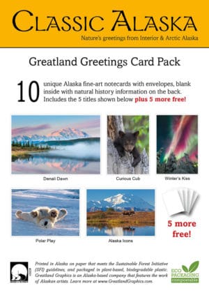 classic alaska notecard pack