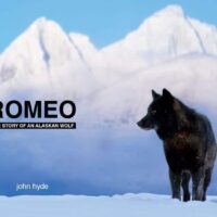 Rome: The Story of an Alaskan Wolf