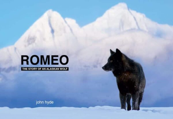 Rome: The Story of an Alaskan Wolf