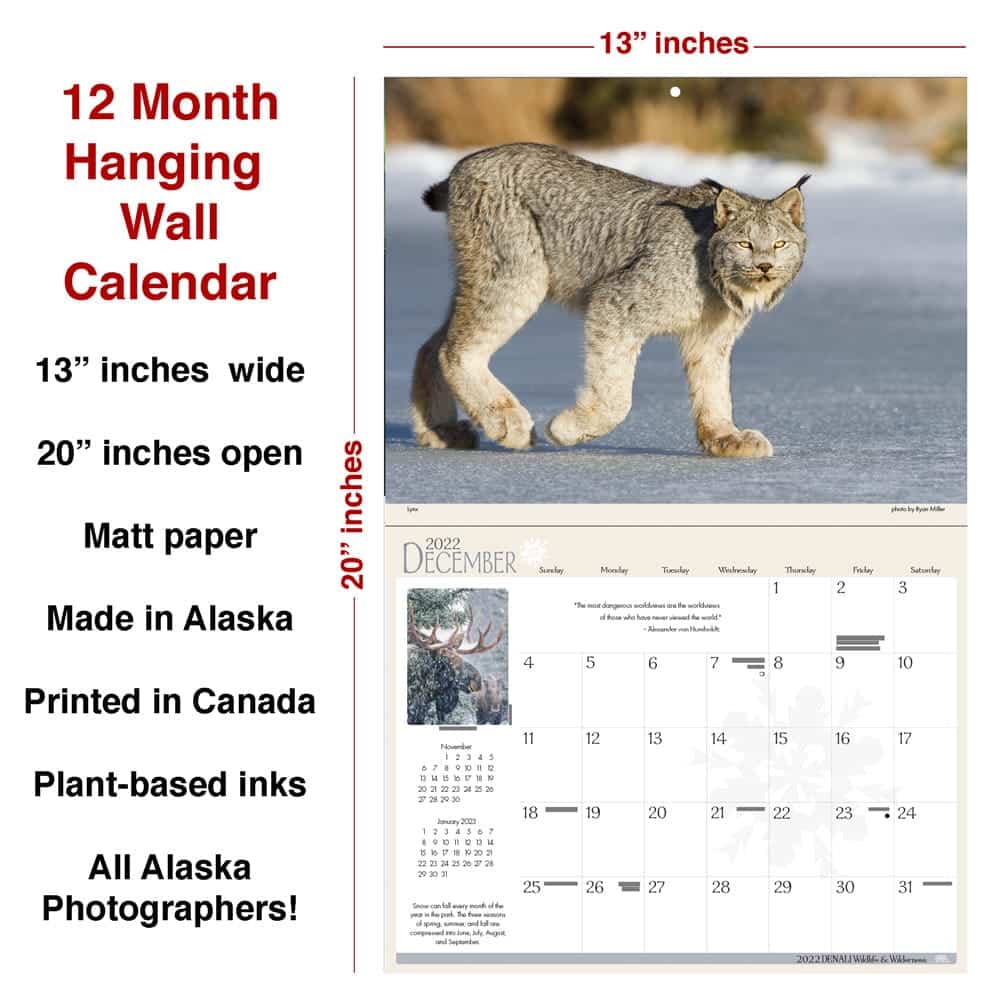 Cat Wall Calendar 2024, Hanging Wall Calendar, 12 Month Cat