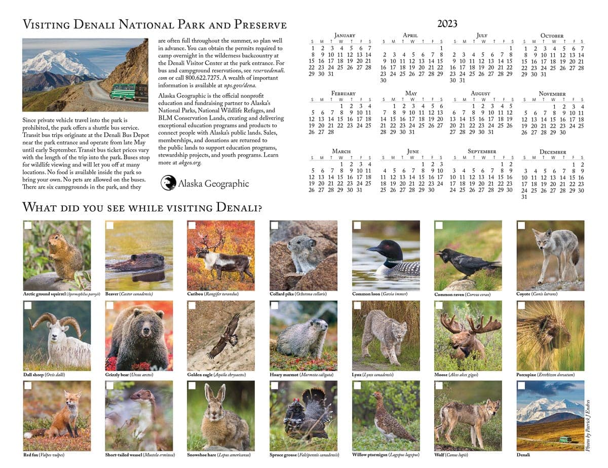 denali park wildlife index