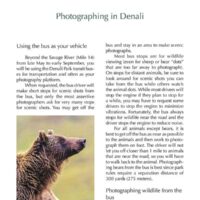 photography tips