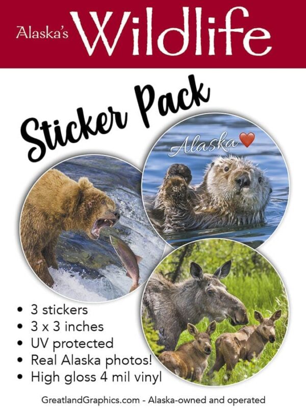 alaska wildlife sticker pack