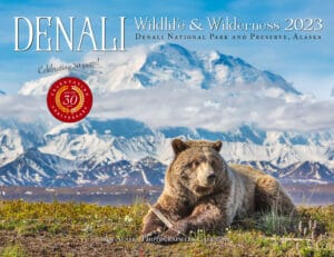 2023 Denali Wildlife & Wilderness Calendar