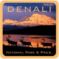 denali caribou sticker