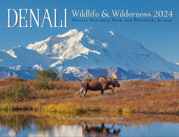 WILD ABOUT WILDLIFE MONTH -July 2024 - National Today