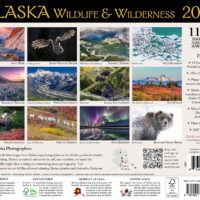 2025 Alaska Wilderness calendar back cover