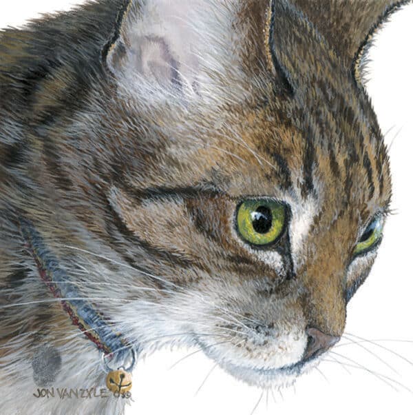 Close up portrait of domestic cat. Gray tabby cat with green eye and red collar with bell looking off to the right.
