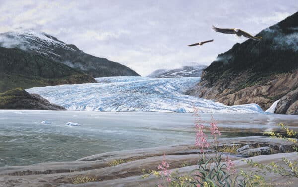 Two bald eagle soaring from terminus of  tidewater glacier that is cutting it's way through mountains in summer on a cloudy day. A Waterfall is flowing to the right of the glacier into the water, wich icebergs floating in the water and fireweed blooming in the foreground.