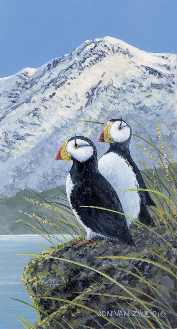 Two horned puffin, sitting perched on rock ledge with tall wild grass around them, overlooking ocean, with green forest covered hill in background, and white covered mountain behind hill.