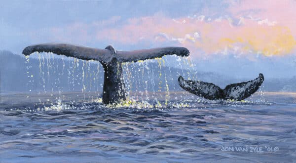 Two orca whale tail rise from ocean with water dripping from them into ocean water, at sunrise, sunset.