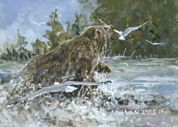 Brown grizzly bear in water, fishing for salmon, growling at several sea gull harrasing him, with forest in background.