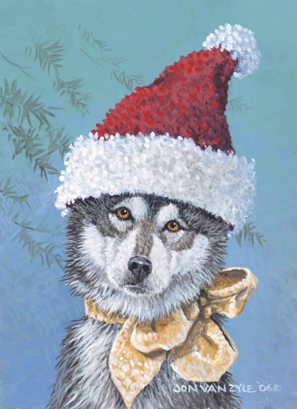 Portrait of sled dog wearing yellow ribbon around neck and santa hat, with spruce tree foliage faintly in background.