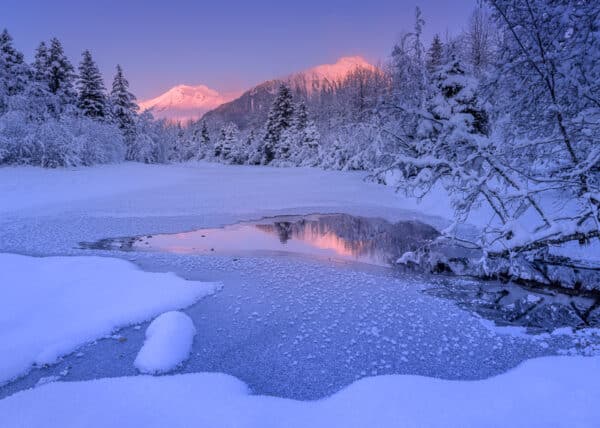 Winter afternoon along the shoreline of Mendenhall River, Tongass National Forest, Juneau, Alaska.