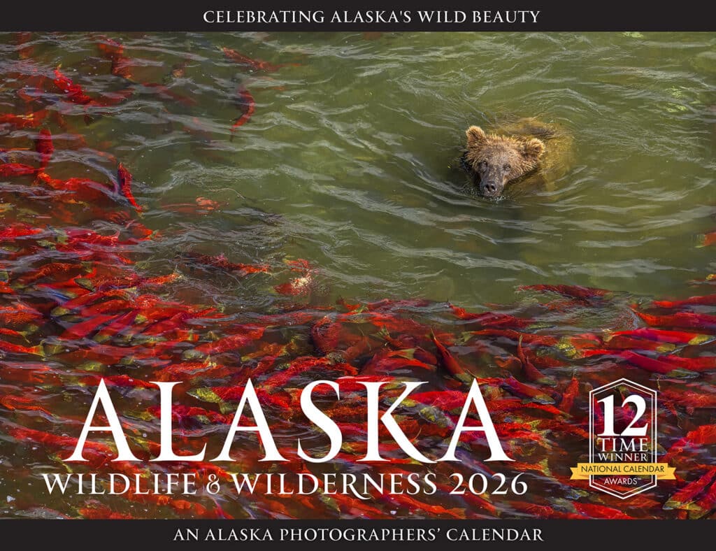 Alaskan wildlife in 2026