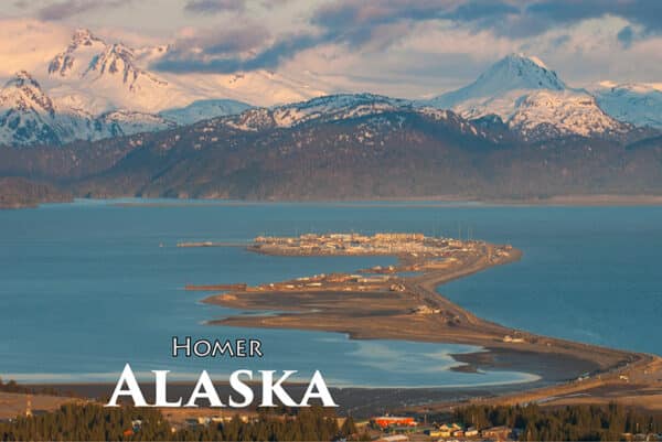 PC15-HomerSpit-front