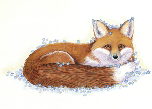 Fox and Forget-Me-Nots