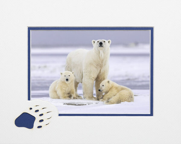 Polar Family matted card