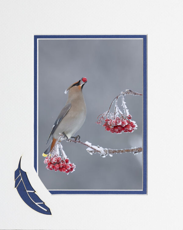 Winter Snack matted card