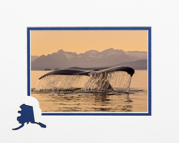 A Whale's Tale matted card