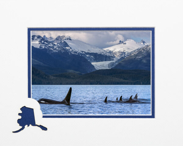 Follow the Leader matted card