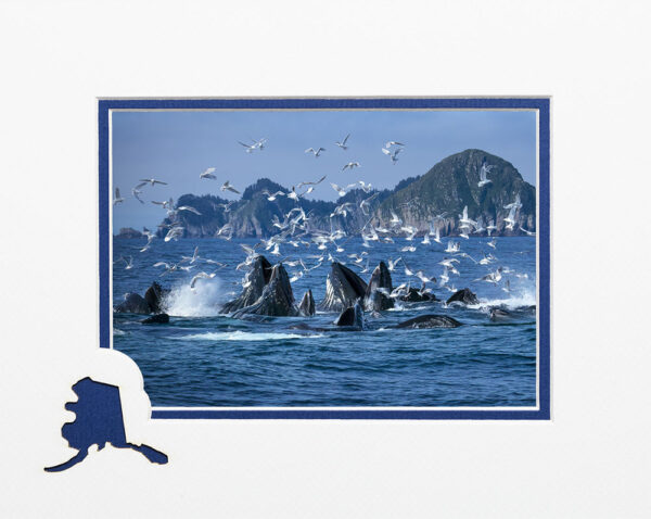 Feeding Frenzy matted card